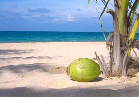 Strand am Starnberger See bei Dr. Stengel