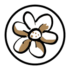 Monique-ICONS-Blume Monique-ICONS-Blume